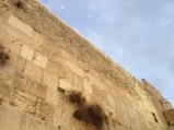 Moon over the Kotel. If I forget thee, O Jerusalem