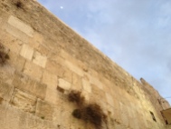 Moon over the Kotel. If I forget thee, O Jerusalem